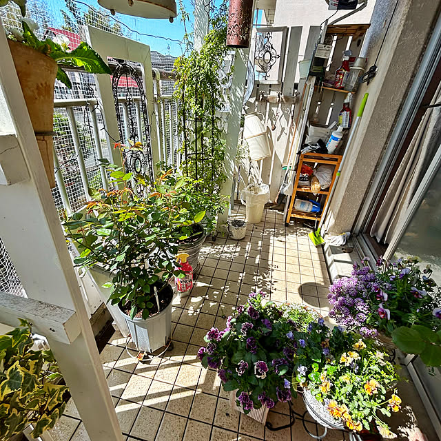 shabby666さんの部屋