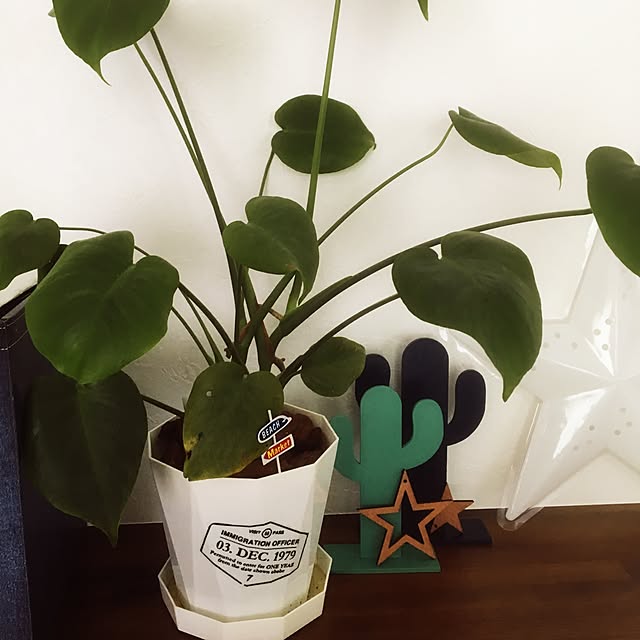 koukotomamaさんの実例写真