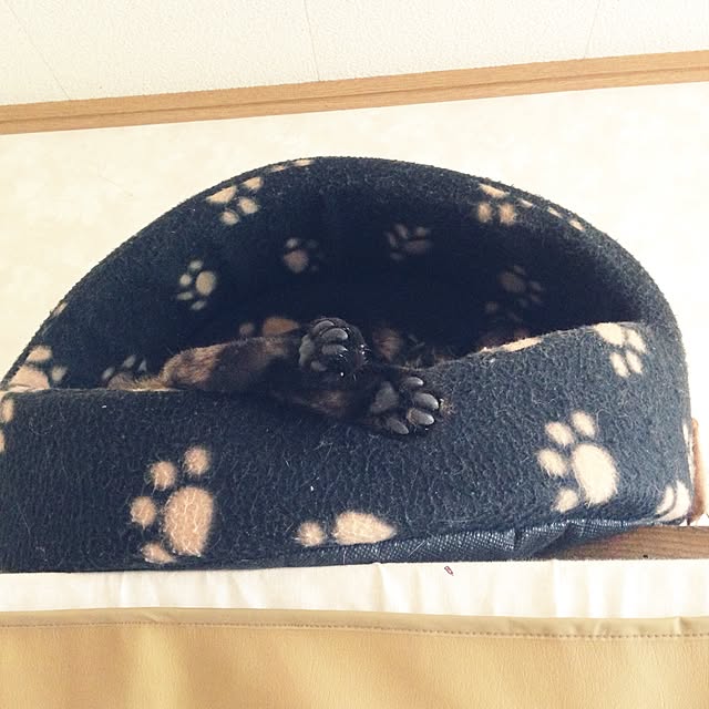 mayaさんの実例写真