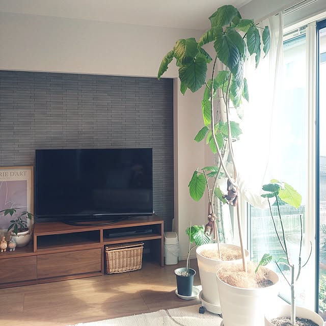 tan5さんの実例写真