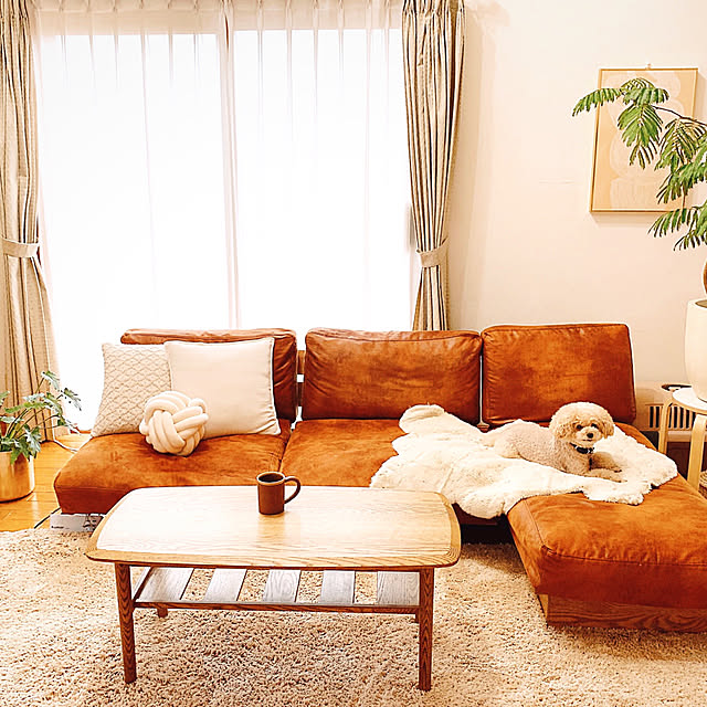 teaさんの部屋