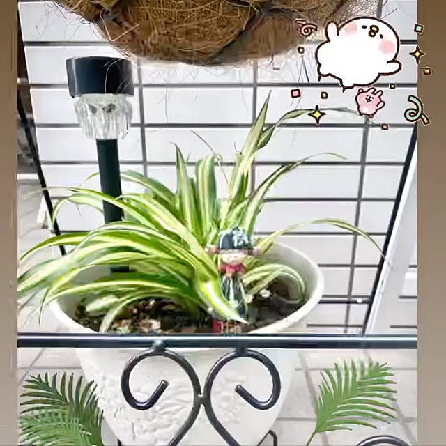 YuuKoさんの実例写真