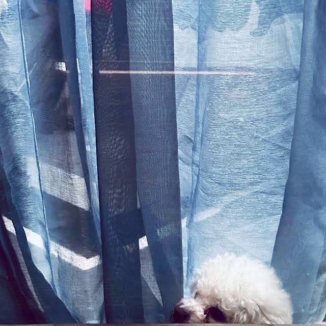 chacoさんの実例写真