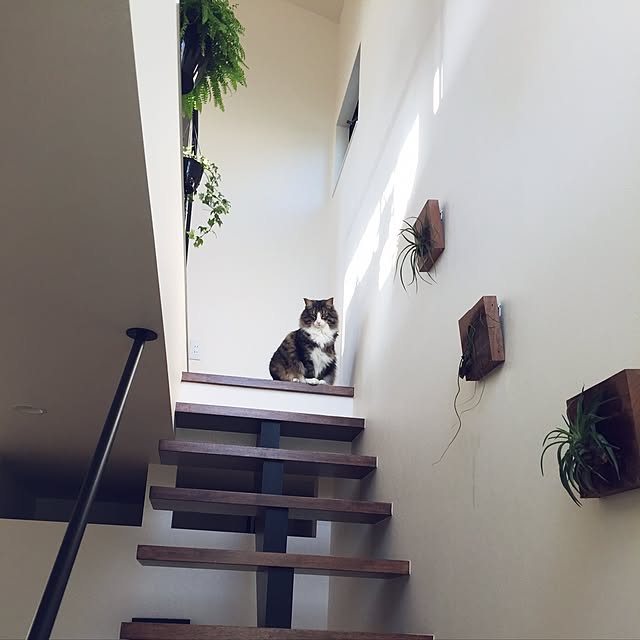 tongarihouseさんの実例写真
