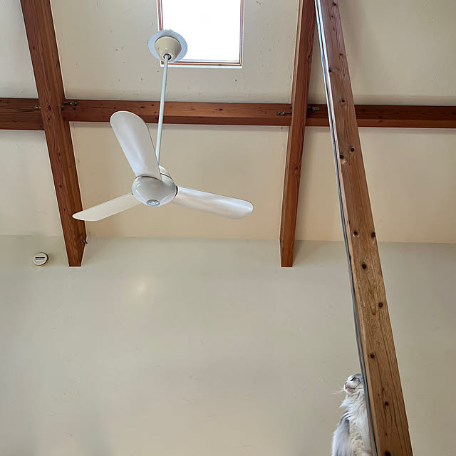 Kikko.さんの部屋