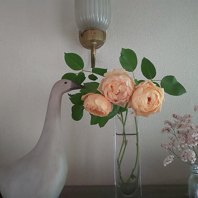 --rnrmm--さんの実例写真