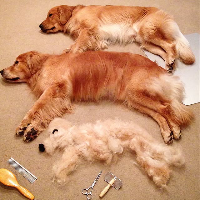 pao-mamaさんの実例写真