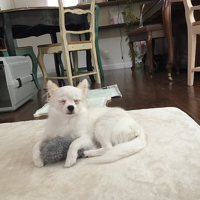 yumoさんの実例写真