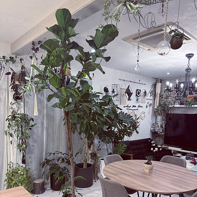 usakoさんの部屋
