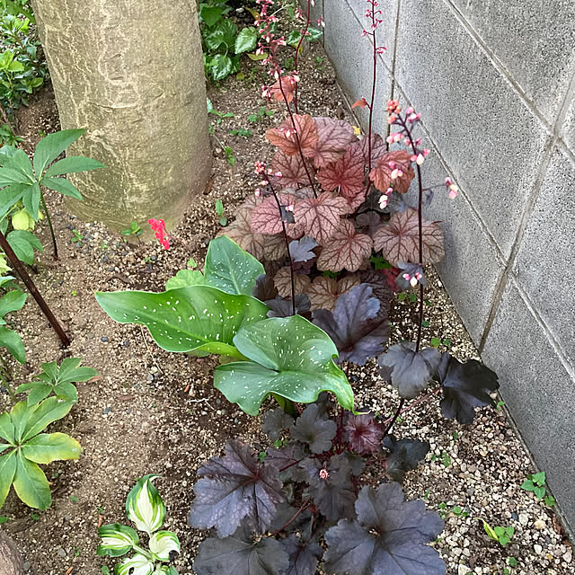 mamaさんの部屋