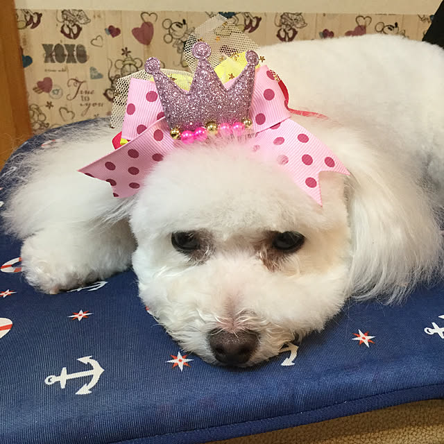 kakoさんの実例写真