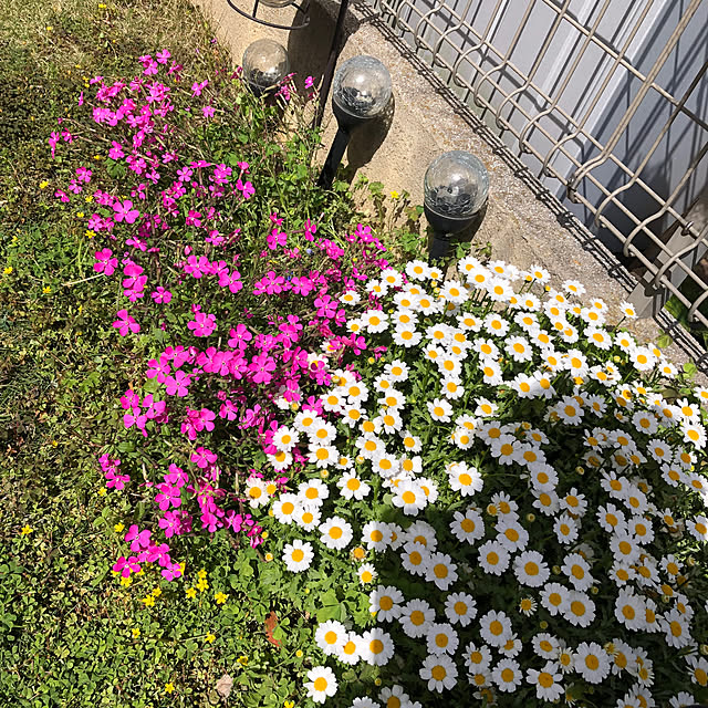 miukiさんの部屋