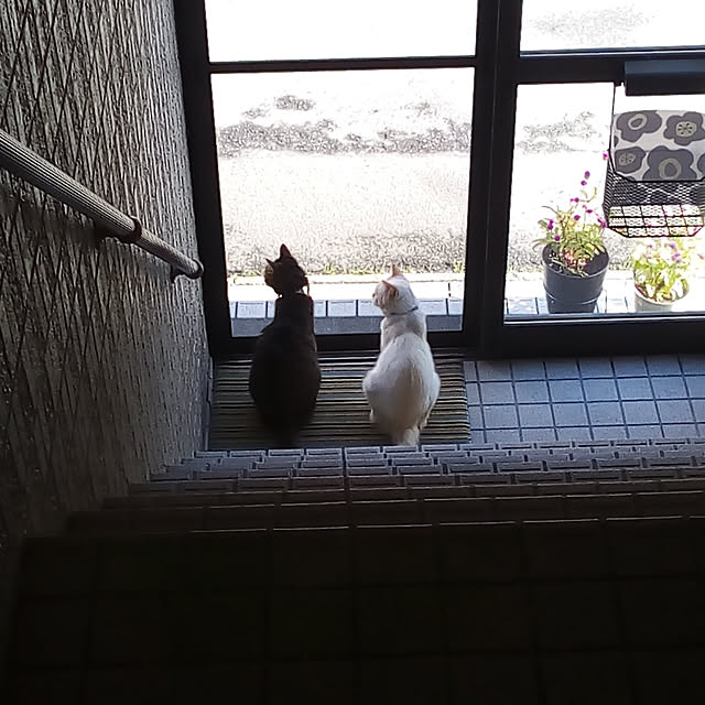 taeさんの実例写真