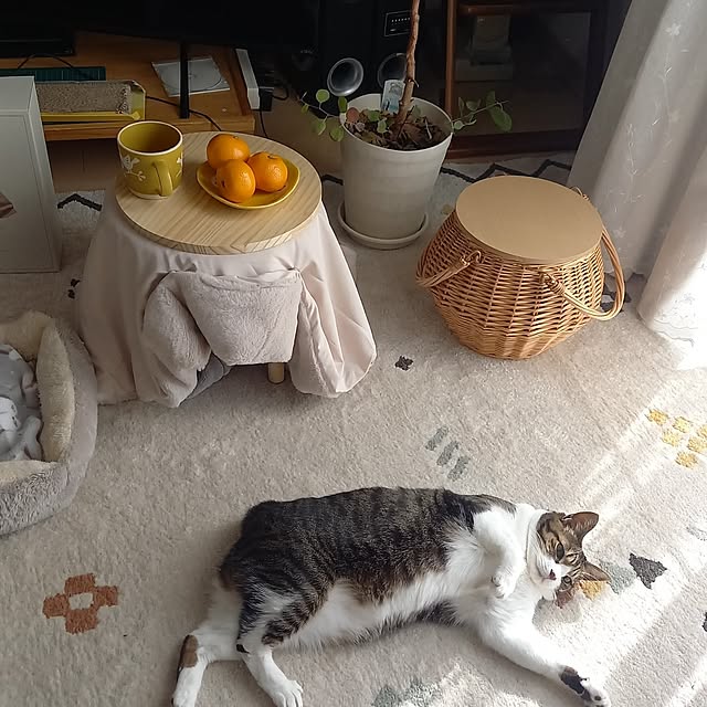 civicglさんの実例写真