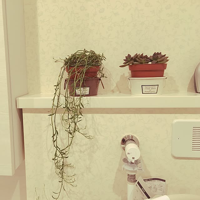 ayataさんの実例写真