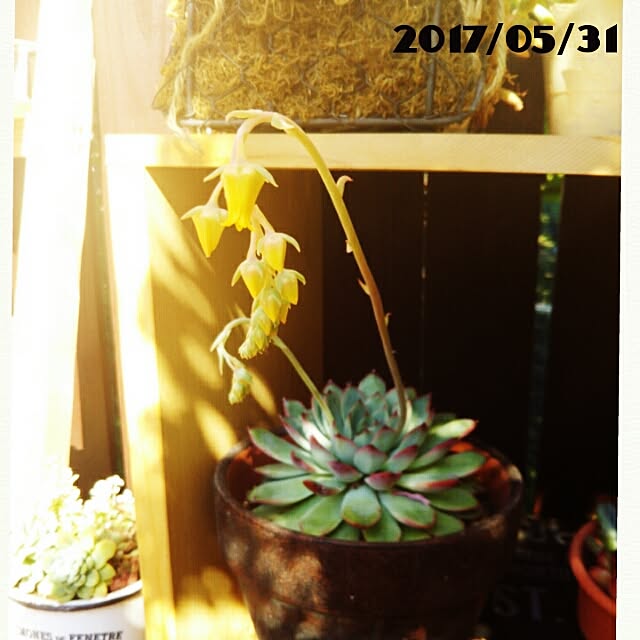 bousuke.215112さんの実例写真