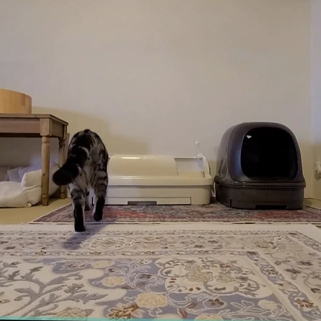 lovepeaceさんの部屋