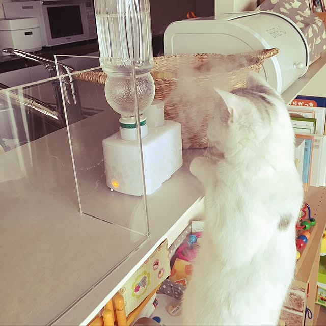 yumiさんの実例写真