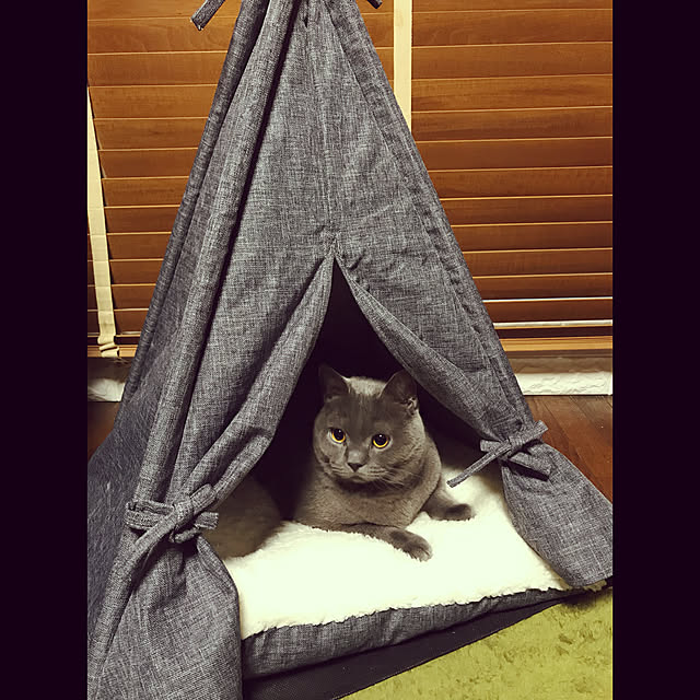 meguさんの実例写真