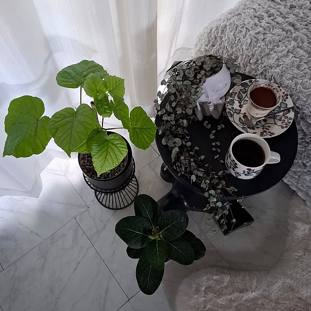 noaさんの部屋