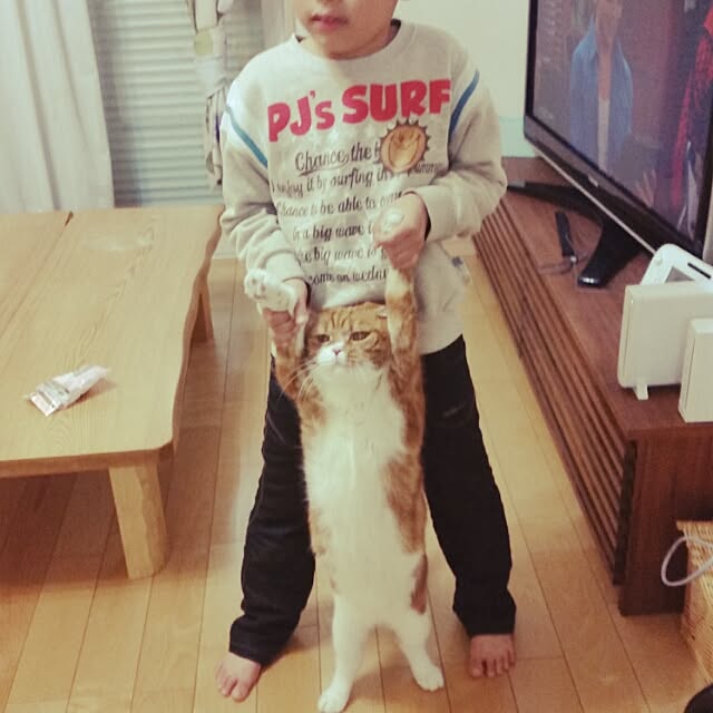 anadorunaさんの実例写真
