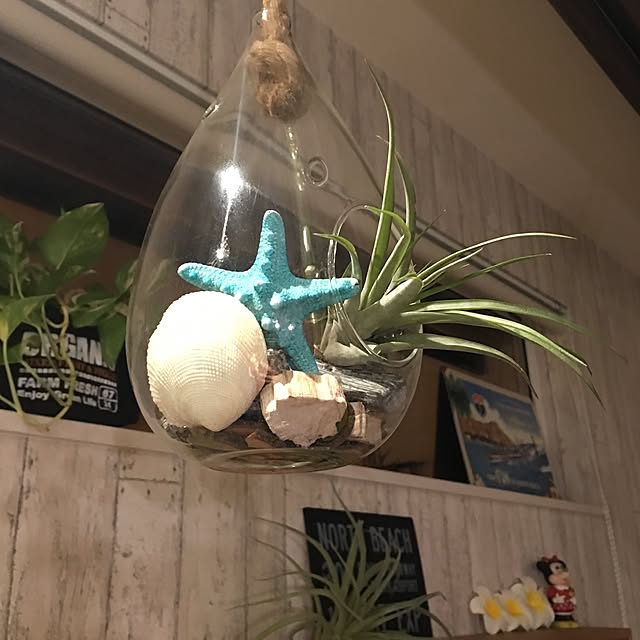 muuさんの実例写真