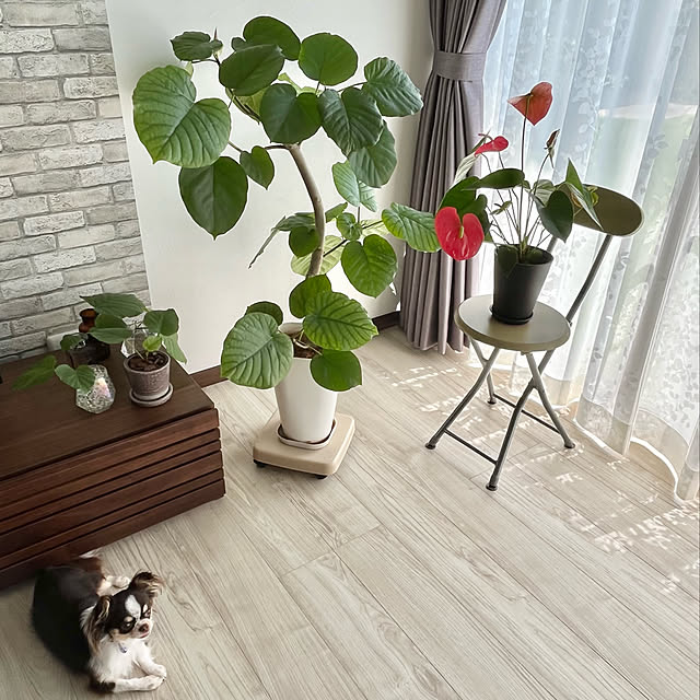 Hannahさんの実例写真