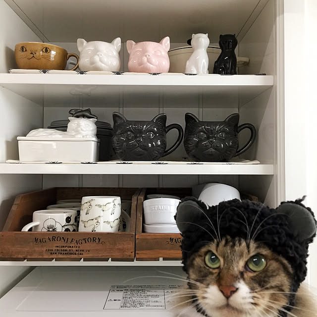yuchiさんの実例写真