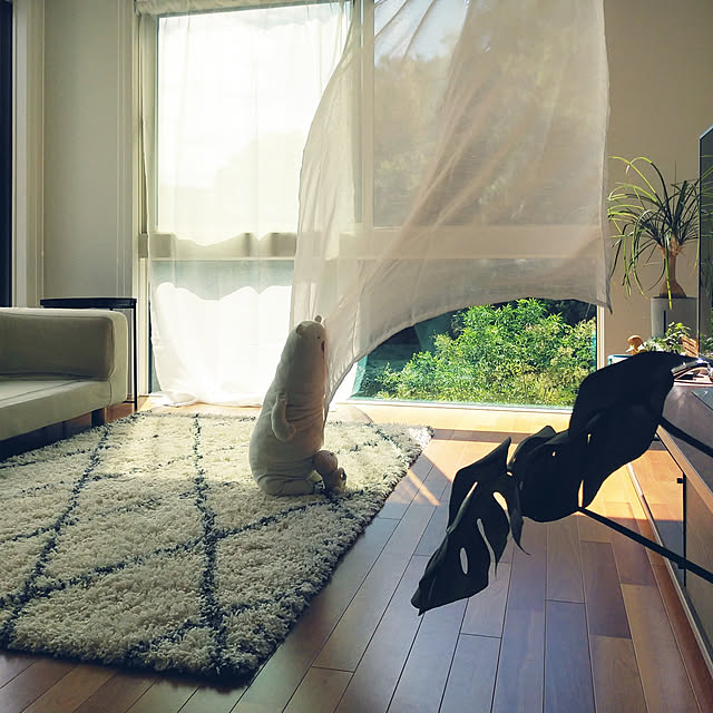 noriさんの実例写真