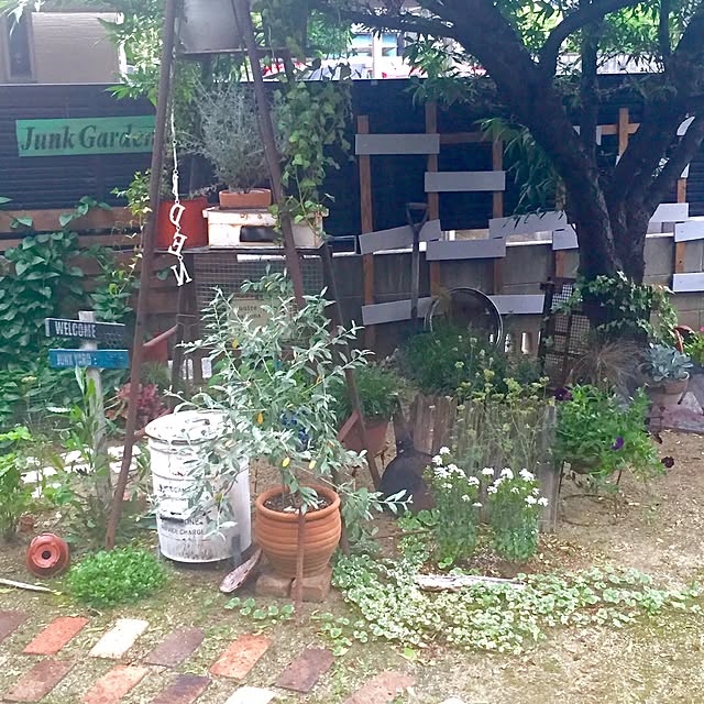 bibianさんの実例写真