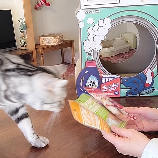lovepeaceさんの部屋