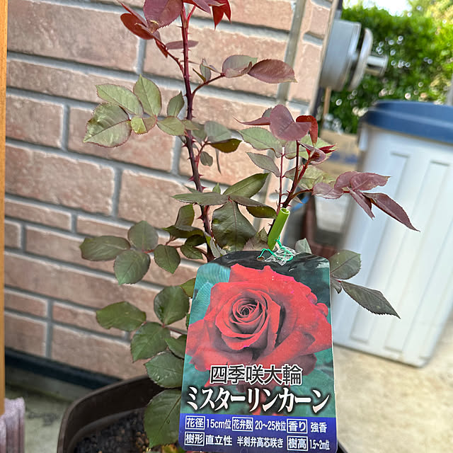 ryannicolas41さんの実例写真