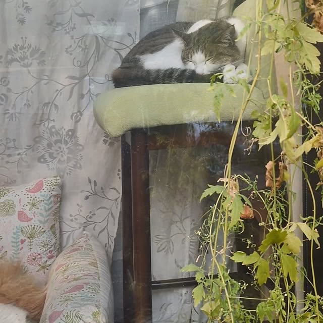 mori_6_12さんの部屋