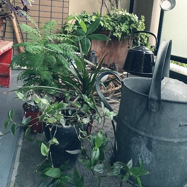 eggさんの実例写真
