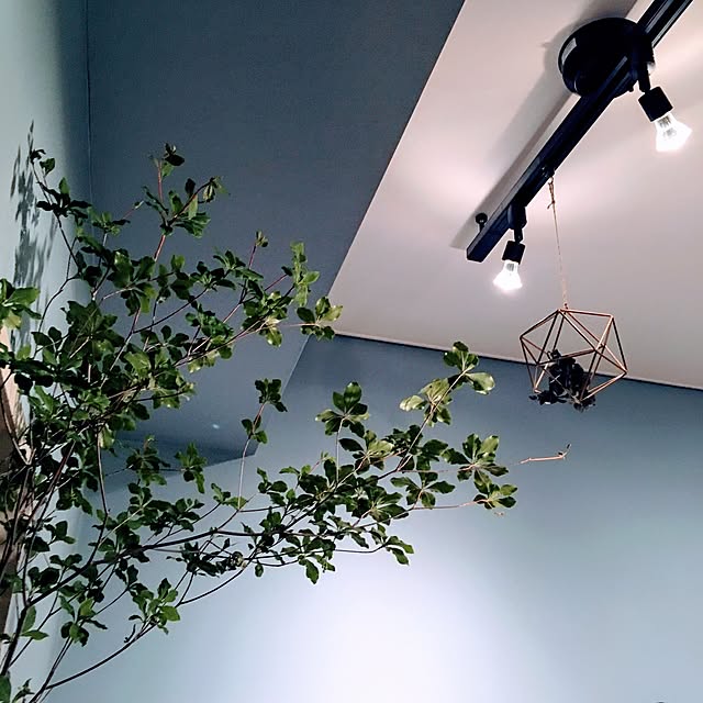 Izさんの実例写真