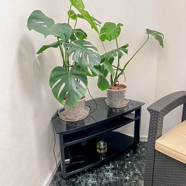 MOMOMAMAさんの部屋