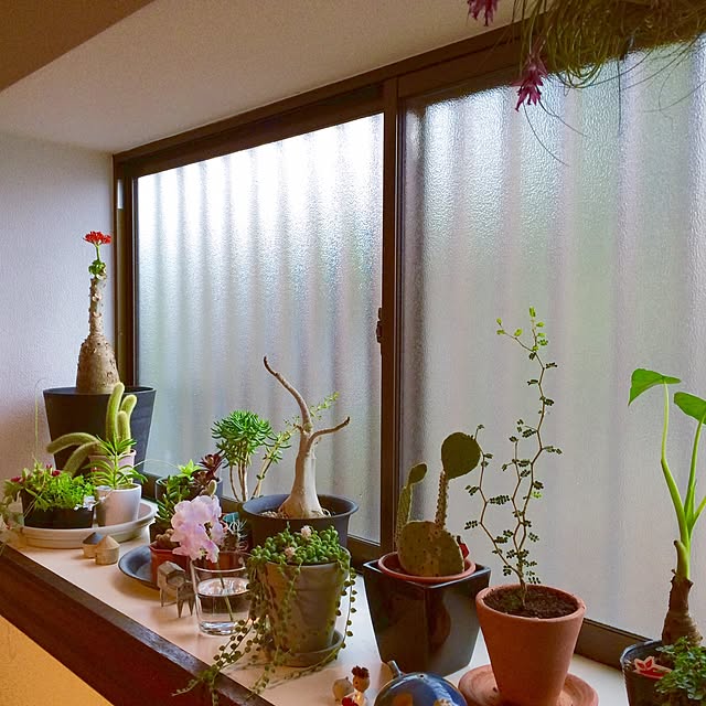 Yukiko.Aさんの実例写真