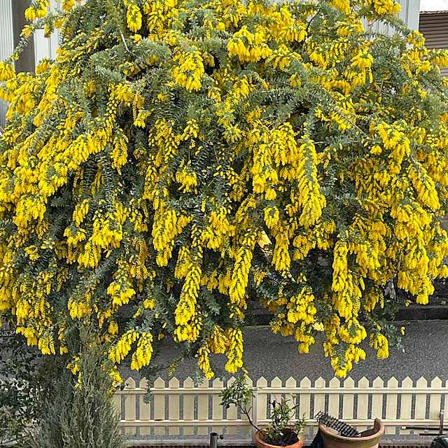 Andaluciaさんの部屋