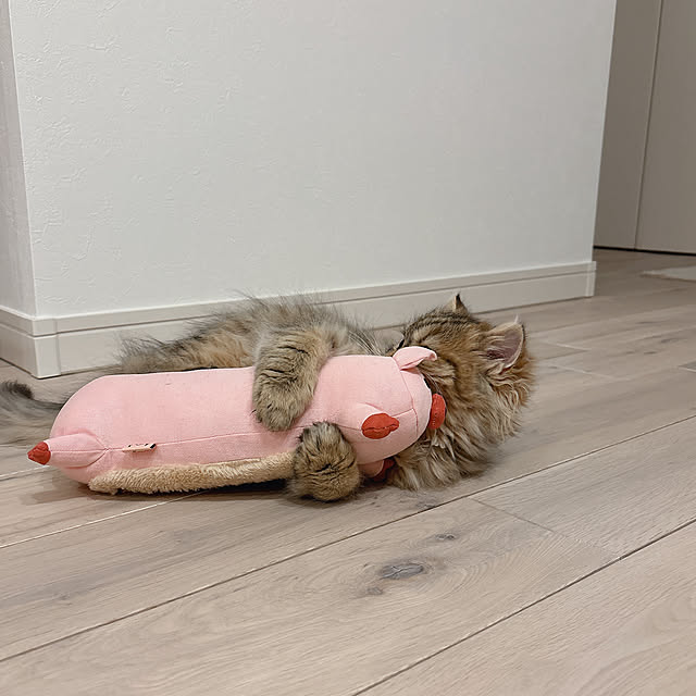miyu39さんの部屋