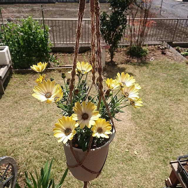 KOMARIN358さんの実例写真