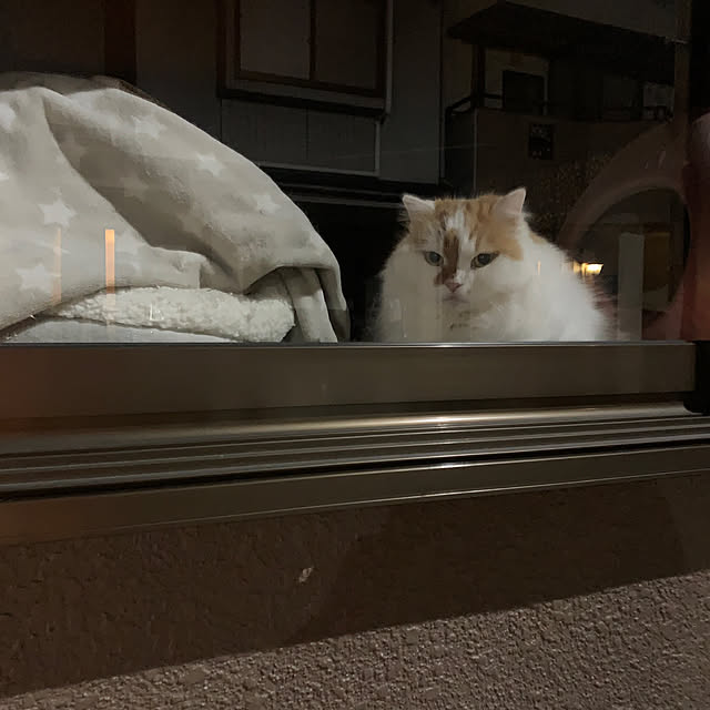 keiさんの部屋