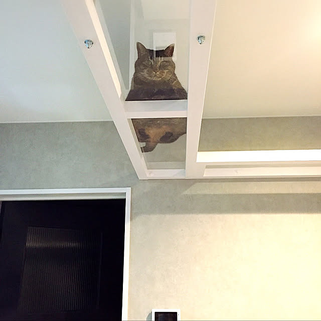Mikiさんの実例写真