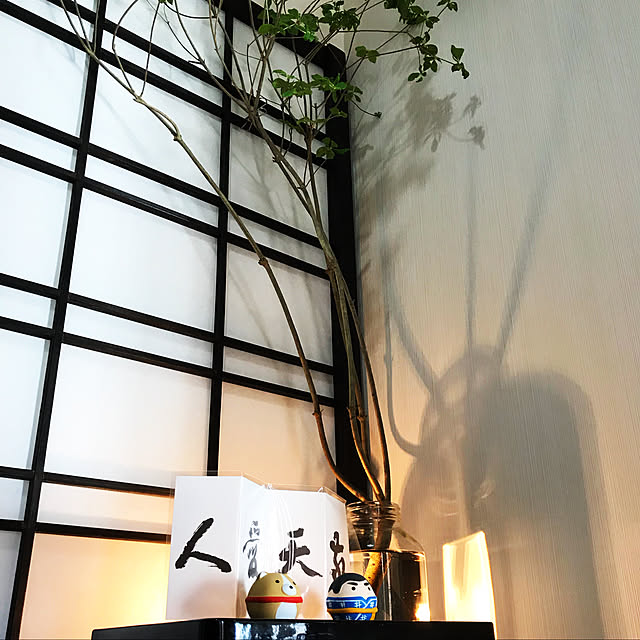 aninさんの実例写真