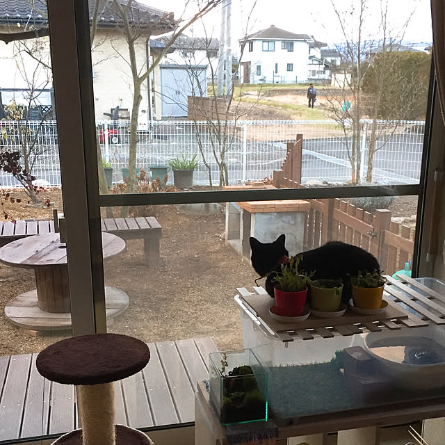 nanaさんの実例写真