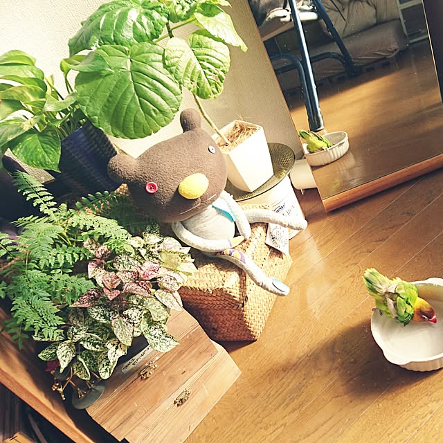 s.p.sunaoさんの実例写真
