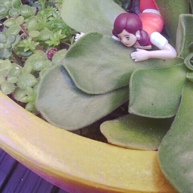 akr29さんの実例写真
