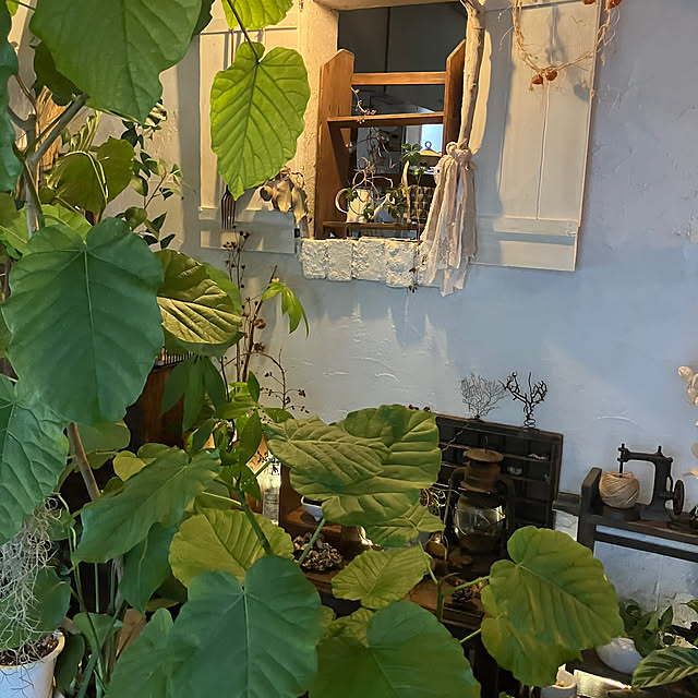 ganchan_0910さんの部屋