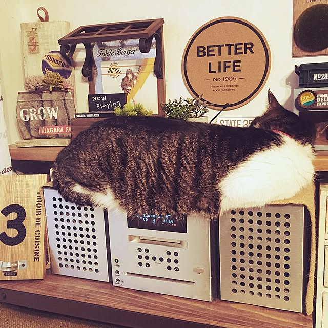 Rettiさんの実例写真