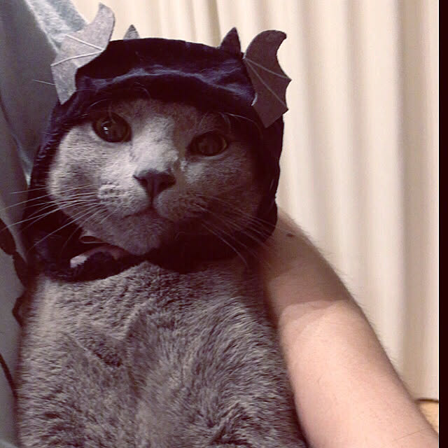 maripoさんの実例写真