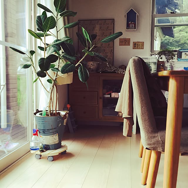 pariさんの実例写真